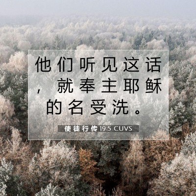 Picture 07 - 使 徒 行 传 19:5 CUVS - 他 们 听 见 这 话 ， 就 奉 主 耶 稣 - Bible Verse Picture