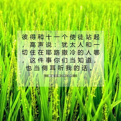 Picture 07 - 使 徒 行 传 2:14 CUVS - 彼 得 和 十 一 个 使 徒 站 起 ， 高 - Bible Verse Picture