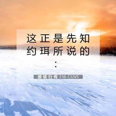 Picture 07 - 使 徒 行 传 2:16 CUVS - 这 正 是 先 知 约 珥 所 说 的 - Bible Verse Picture
