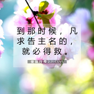 Picture 07 - 使 徒 行 传 2:21 CUVS - 到 那 时 候 ， 凡 求 告 主 名 的 ， - Bible Verse Picture