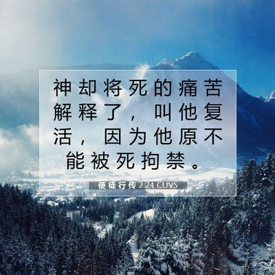 Picture 07 - 使 徒 行 传 2:24 CUVS - 神 却 将 死 的 痛 苦 解 释 了 ， 叫 - Bible Verse Picture