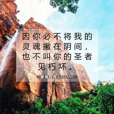 Picture 07 - 使 徒 行 传 2:27 CUVS - 因 你 必 不 将 我 的 灵 魂 撇 在 阴 - Bible Verse Picture