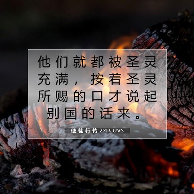 Picture 07 - 使 徒 行 传 2:4 CUVS - 他 们 就 都 被 圣 灵 充 满 ， 按 着 - Bible Verse Picture