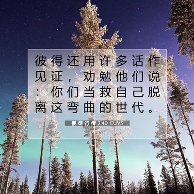 Picture 07 - 使 徒 行 传 2:40 CUVS - 彼 得 还 用 许 多 话 作 见 证 ， 劝 - Bible Verse Picture
