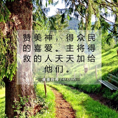 Picture 07 - 使 徒 行 传 2:47 CUVS - 赞 美 神 ， 得 众 民 的 喜 爱 。 主 - Bible Verse Picture