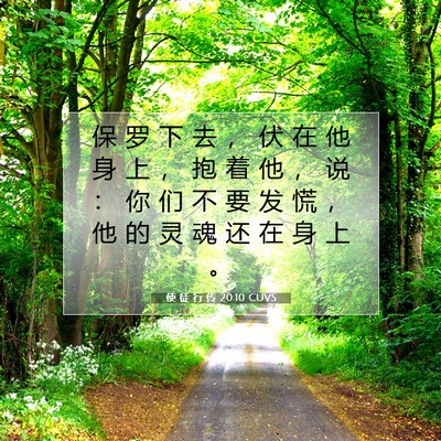 Picture 07 - 使 徒 行 传 20:10 CUVS - 保 罗 下 去 ， 伏 在 他 身 上 ， 抱 - Bible Verse Picture