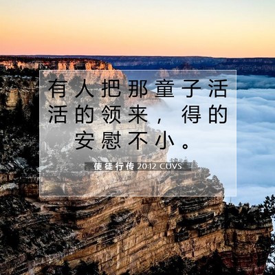 Picture 07 - 使 徒 行 传 20:12 CUVS - 有 人 把 那 童 子 活 活 的 领 来 ， - Bible Verse Picture
