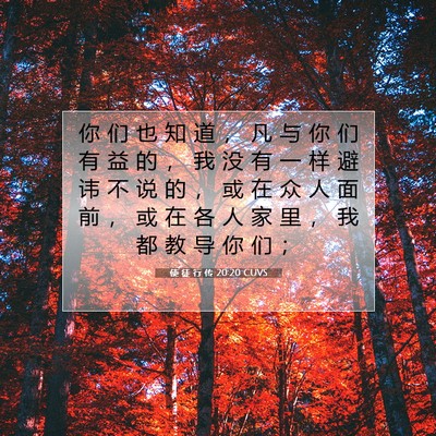 Picture 07 - 使 徒 行 传 20:20 CUVS - 你 们 也 知 道 ， 凡 与 你 们 有 益 - Bible Verse Picture