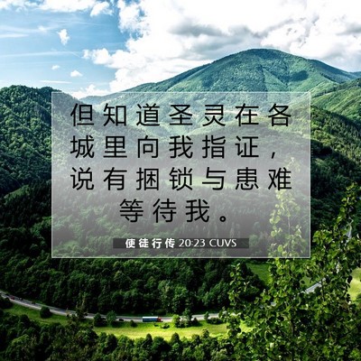Picture 07 - 使 徒 行 传 20:23 CUVS - 但 知 道 圣 灵 在 各 城 里 向 我 指 - Bible Verse Picture