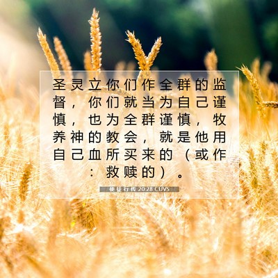 Picture 07 - 使 徒 行 传 20:28 CUVS - 圣 灵 立 你 们 作 全 群 的 监 督 ， - Bible Verse Picture