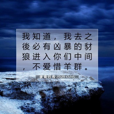 Picture 07 - 使 徒 行 传 20:29 CUVS - 我 知 道 ， 我 去 之 後 必 有 凶 暴 - Bible Verse Picture