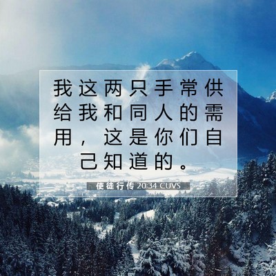 Picture 07 - 使 徒 行 传 20:34 CUVS - 我 这 两 只 手 常 供 给 我 和 同 人 - Bible Verse Picture