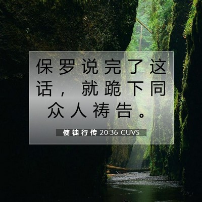 Picture 07 - 使 徒 行 传 20:36 CUVS - 保 罗 说 完 了 这 话 ， 就 跪 下 同 - Bible Verse Picture