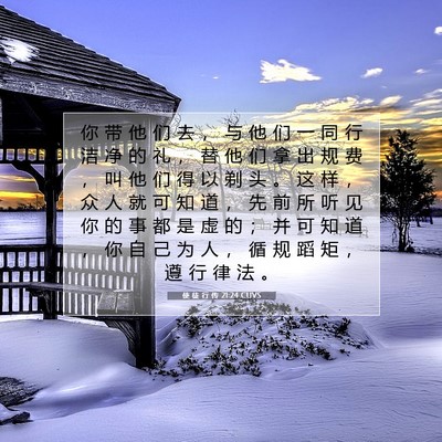 Picture 07 - 使 徒 行 传 21:24 CUVS - 你 带 他 们 去 ， 与 他 们 一 同 行 - Bible Verse Picture