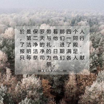 Picture 07 - 使 徒 行 传 21:26 CUVS - 於 是 保 罗 带 着 那 四 个 人 ， 第 - Bible Verse Picture