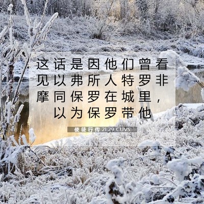 Picture 07 - 使 徒 行 传 21:29 CUVS - 这 话 是 因 他 们 曾 看 见 以 弗 所 - Bible Verse Picture