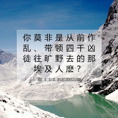 Picture 07 - 使 徒 行 传 21:38 CUVS - 你 莫 非 是 从 前 作 乱 、 带 领 四 - Bible Verse Picture