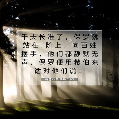 Picture 07 - 使 徒 行 传 21:40 CUVS - 千 夫 长 准 了 。 保 罗 就 站 在 ? 阶 - Bible Verse Picture