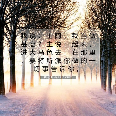 Picture 07 - 使 徒 行 传 22:10 CUVS - 我 说 ： 主 阿 ， 我 当 做 甚 麽 ？ - Bible Verse Picture