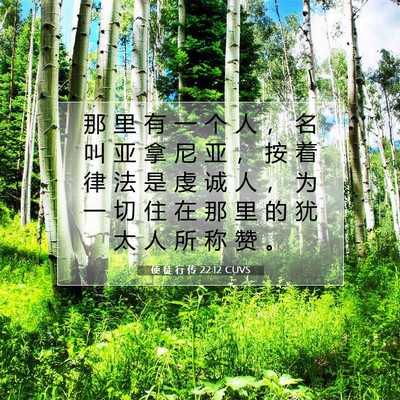 Picture 07 - 使 徒 行 传 22:12 CUVS - 那 里 有 一 个 人 ， 名 叫 亚 拿 尼 - Bible Verse Picture
