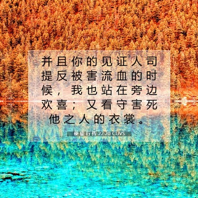 Picture 07 - 使 徒 行 传 22:20 CUVS - 并 且 你 的 见 证 人 司 提 反 被 害 - Bible Verse Picture