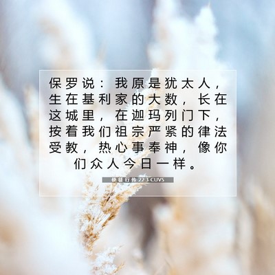Picture 07 - 使 徒 行 传 22:3 CUVS - 保 罗 说 ： 我 原 是 犹 太 人 ， 生 - Bible Verse Picture