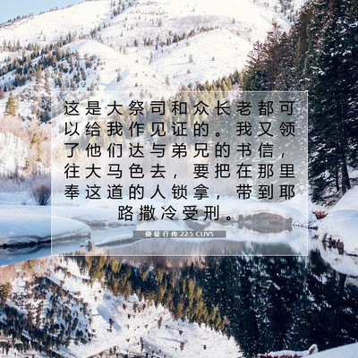 Picture 07 - 使 徒 行 传 22:5 CUVS - 这 是 大 祭 司 和 众 长 老 都 可 以 - Bible Verse Picture