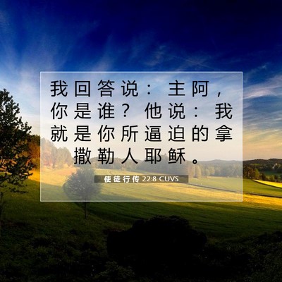 Picture 07 - 使 徒 行 传 22:8 CUVS - 我 回 答 说 ： 主 阿 ， 你 是 谁 ？ - Bible Verse Picture