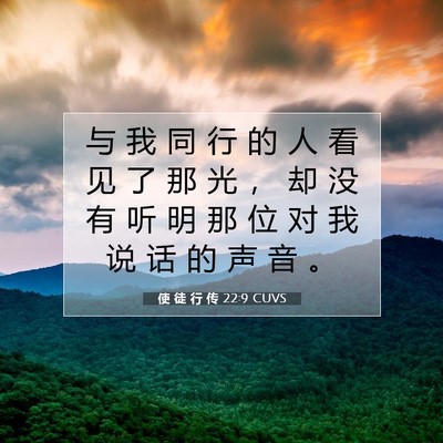 Picture 07 - 使 徒 行 传 22:9 CUVS - 与 我 同 行 的 人 看 见 了 那 光 ， - Bible Verse Picture
