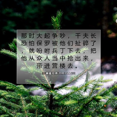Picture 07 - 使 徒 行 传 23:10 CUVS - 那 时 大 起 争 吵 ， 千 夫 长 恐 怕 - Bible Verse Picture