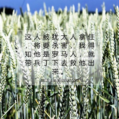 Picture 07 - 使 徒 行 传 23:27 CUVS - 这 人 被 犹 太 人 拿 住 ， 将 要 杀 - Bible Verse Picture