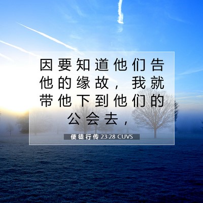 Picture 07 - 使 徒 行 传 23:28 CUVS - 因 要 知 道 他 们 告 他 的 缘 故 ， - Bible Verse Picture