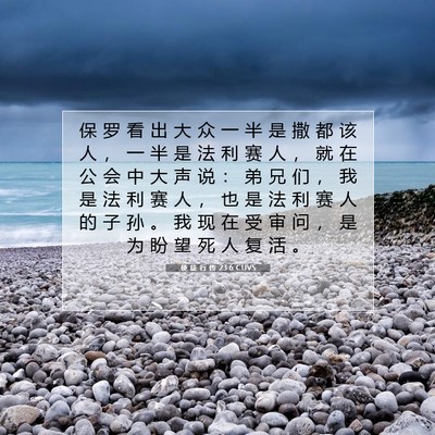 Picture 07 - 使 徒 行 传 23:6 CUVS - 保 罗 看 出 大 众 一 半 是 撒 都 该 - Bible Verse Picture