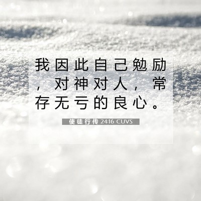 Picture 07 - 使 徒 行 传 24:16 CUVS - 我 因 此 自 己 勉 励 ， 对 神 对 人 - Bible Verse Picture