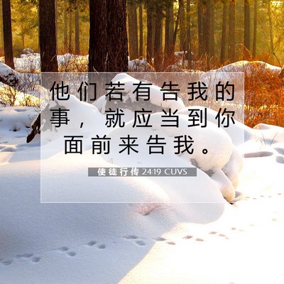 Picture 07 - 使 徒 行 传 24:19 CUVS - 他 们 若 有 告 我 的 事 ， 就 应 当 - Bible Verse Picture