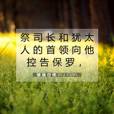 Picture 07 - 使 徒 行 传 25:2 CUVS - 祭 司 长 和 犹 太 人 的 首 领 向 他 - Bible Verse Picture