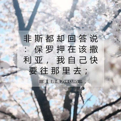 Picture 07 - 使 徒 行 传 25:4 CUVS - 非 斯 都 却 回 答 说 ： 保 罗 押 在 - Bible Verse Picture