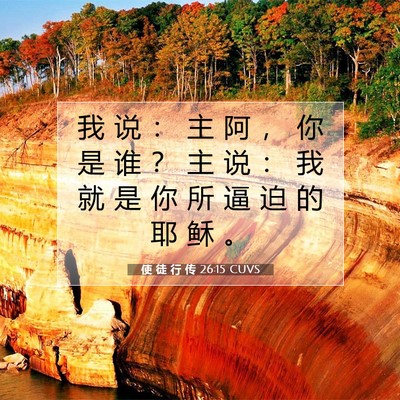 Picture 07 - 使 徒 行 传 26:15 CUVS - 我 说 ： 主 阿 ， 你 是 谁 ？ 主 说 - Bible Verse Picture