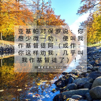 Picture 07 - 使 徒 行 传 26:28 CUVS - 亚 基 帕 对 保 罗 说 ： 你 想 少 微 - Bible Verse Picture