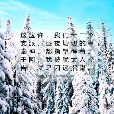 Picture 07 - 使 徒 行 传 26:7 CUVS - 这 应 许 ， 我 们 十 二 个 支 派 ， - Bible Verse Picture