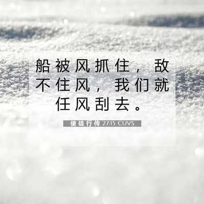 Picture 07 - 使 徒 行 传 27:15 CUVS - 船 被 风 抓 住 ， 敌 不 住 风 ， 我 - Bible Verse Picture