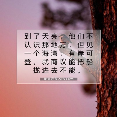 Picture 07 - 使 徒 行 传 27:39 CUVS - 到 了 天 亮 ， 他 们 不 认 识 那 地 - Bible Verse Picture