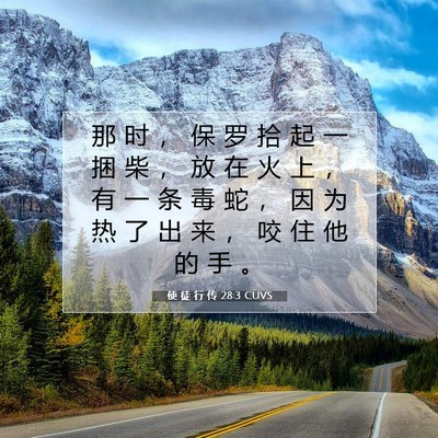Picture 07 - 使 徒 行 传 28:3 CUVS - 那 时 ， 保 罗 拾 起 一 捆 柴 ， 放 - Bible Verse Picture