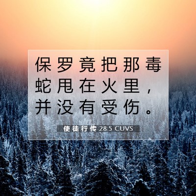 Picture 07 - 使 徒 行 传 28:5 CUVS - 保 罗 竟 把 那 毒 蛇 甩 在 火 里 ， - Bible Verse Picture