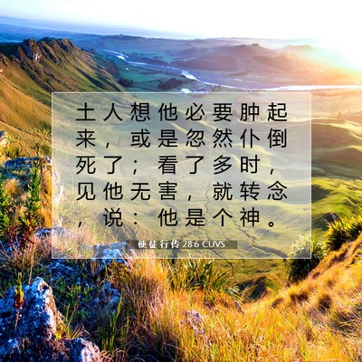 Picture 07 - 使 徒 行 传 28:6 CUVS - 土 人 想 他 必 要 肿 起 来 ， 或 是 - Bible Verse Picture