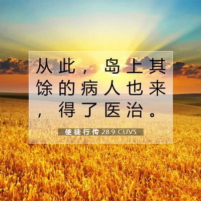 Picture 07 - 使 徒 行 传 28:9 CUVS - 从 此 ， 岛 上 其 馀 的 病 人 也 来 - Bible Verse Picture