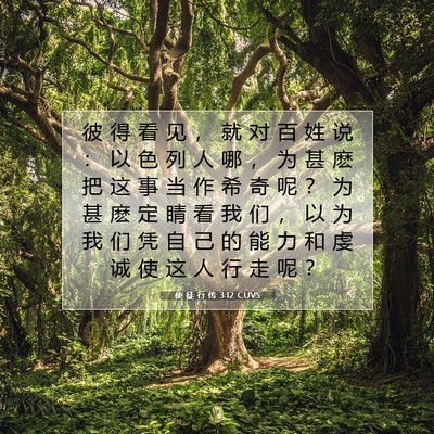 Picture 07 - 使 徒 行 传 3:12 CUVS - 彼 得 看 见 ， 就 对 百 姓 说 ： 以 - Bible Verse Picture