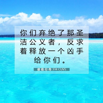 Picture 07 - 使 徒 行 传 3:14 CUVS - 你 们 弃 绝 了 那 圣 洁 公 义 者 ， - Bible Verse Picture