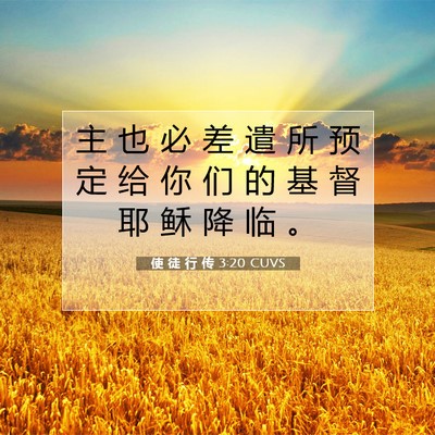 Picture 07 - 使 徒 行 传 3:20 CUVS - 主 也 必 差 遣 所 预 定 给 你 们 的 - Bible Verse Picture