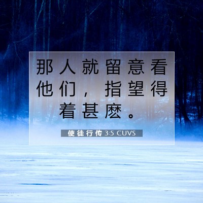 Picture 07 - 使 徒 行 传 3:5 CUVS - 那 人 就 留 意 看 他 们 ， 指 望 得 - Bible Verse Picture